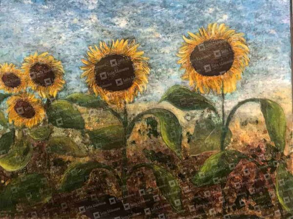 Girasoles - Imagen 2